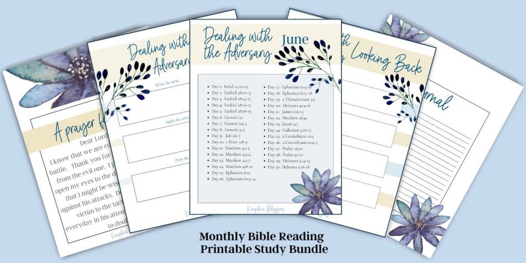 5 Bible Study Plans and The Best Bible Planner To Track Them
