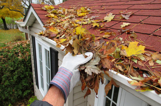 The Cost Of Professional Gutter Cleaning