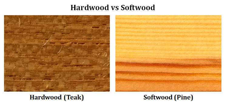 Hardwood and Softwood: What’s Their Differences?