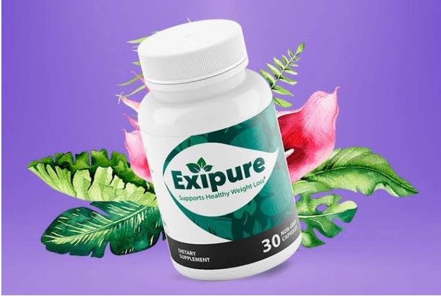 Exipure Is it Worth the Money?