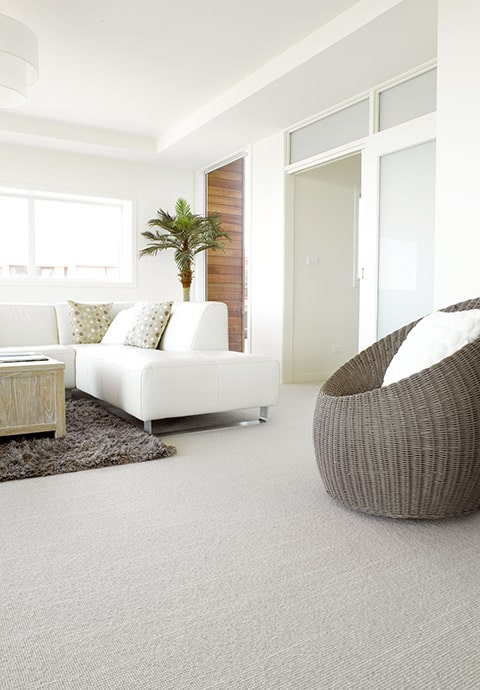 3 Reasons to Steam Clean Your Carpet on the Sunshine Coast